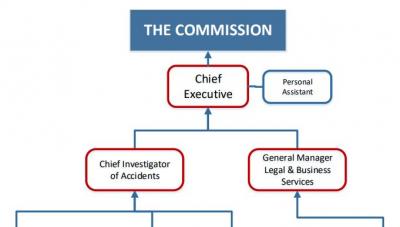 Top section of TAIC organisation chart