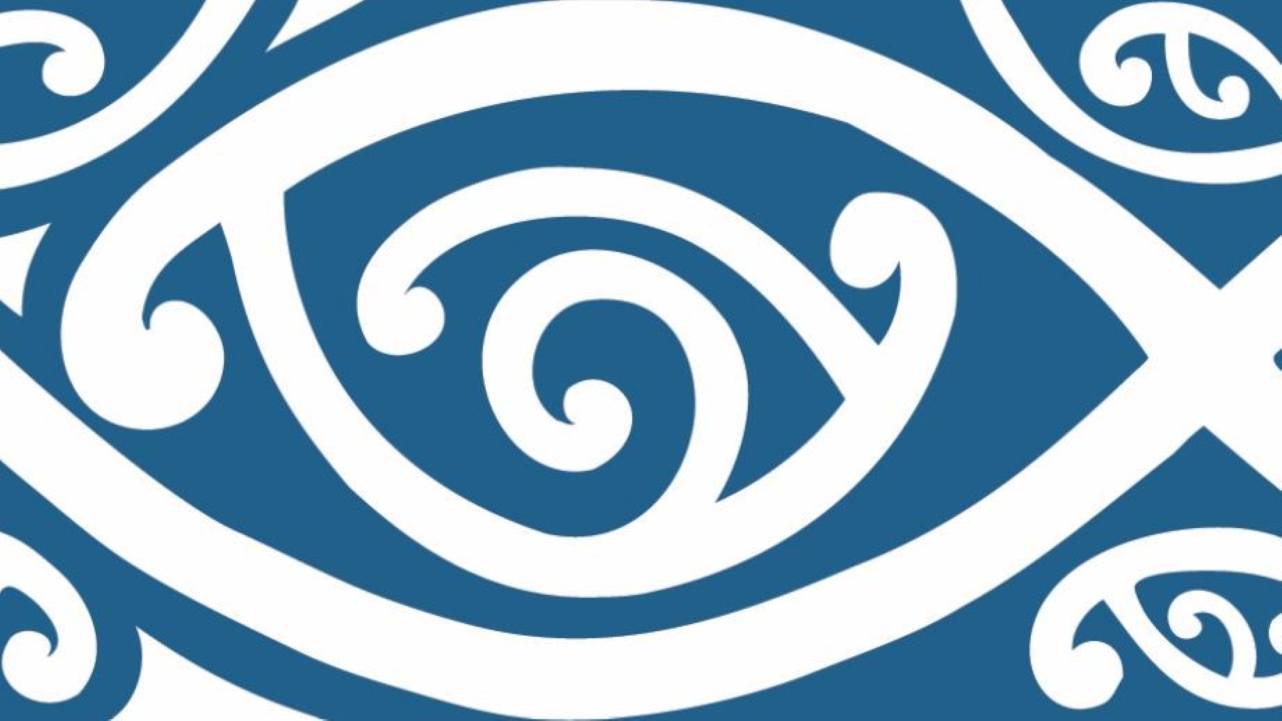 Blue and white kōwhaiwhai detail featuring a large eye shape with a central spiral and surrounding curved patterns. a part of TAIC's corporate brand