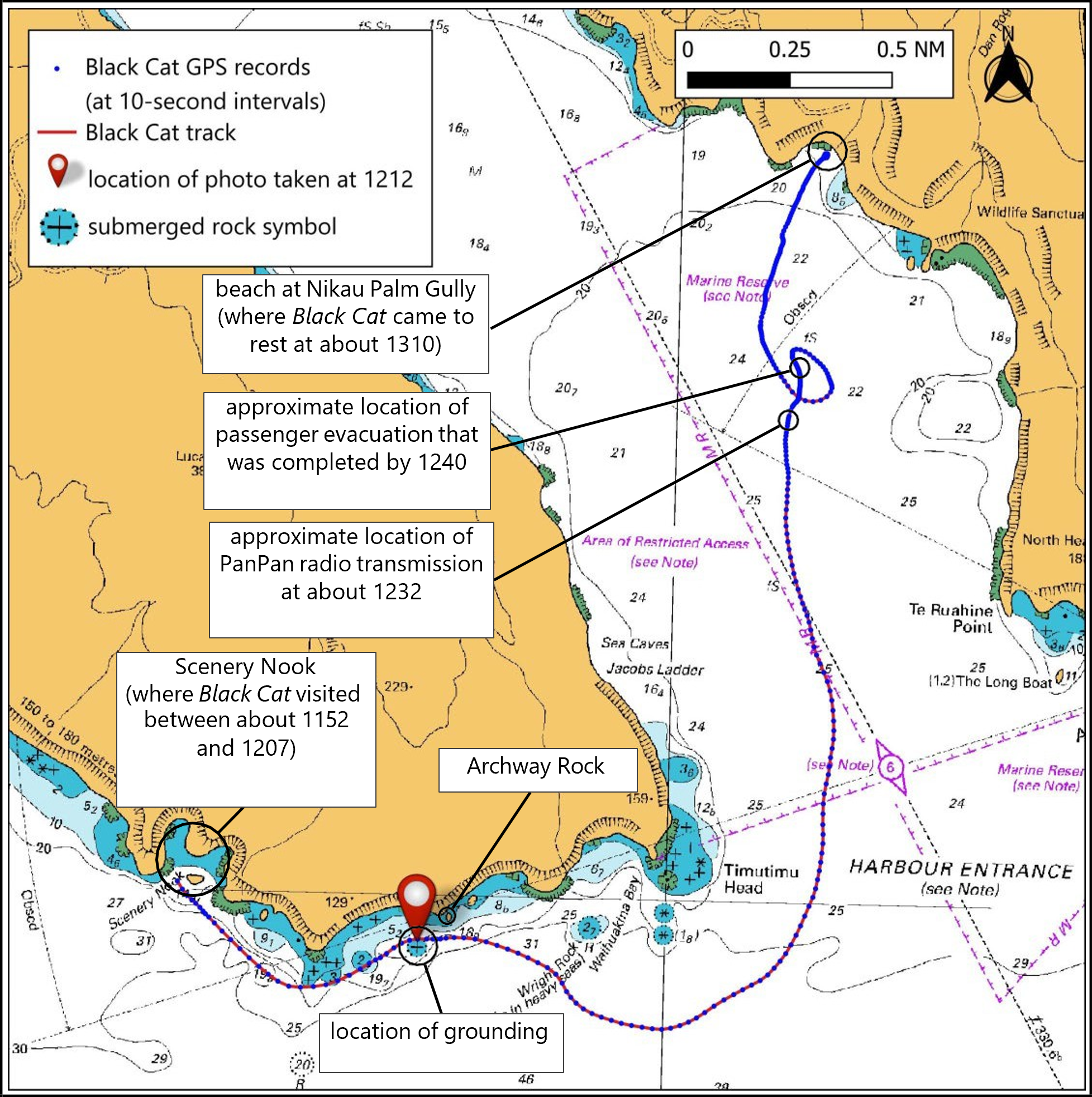 Figure 5: Black Cat’s track from Scenery Nook to the beach at Nikau Palm Gully