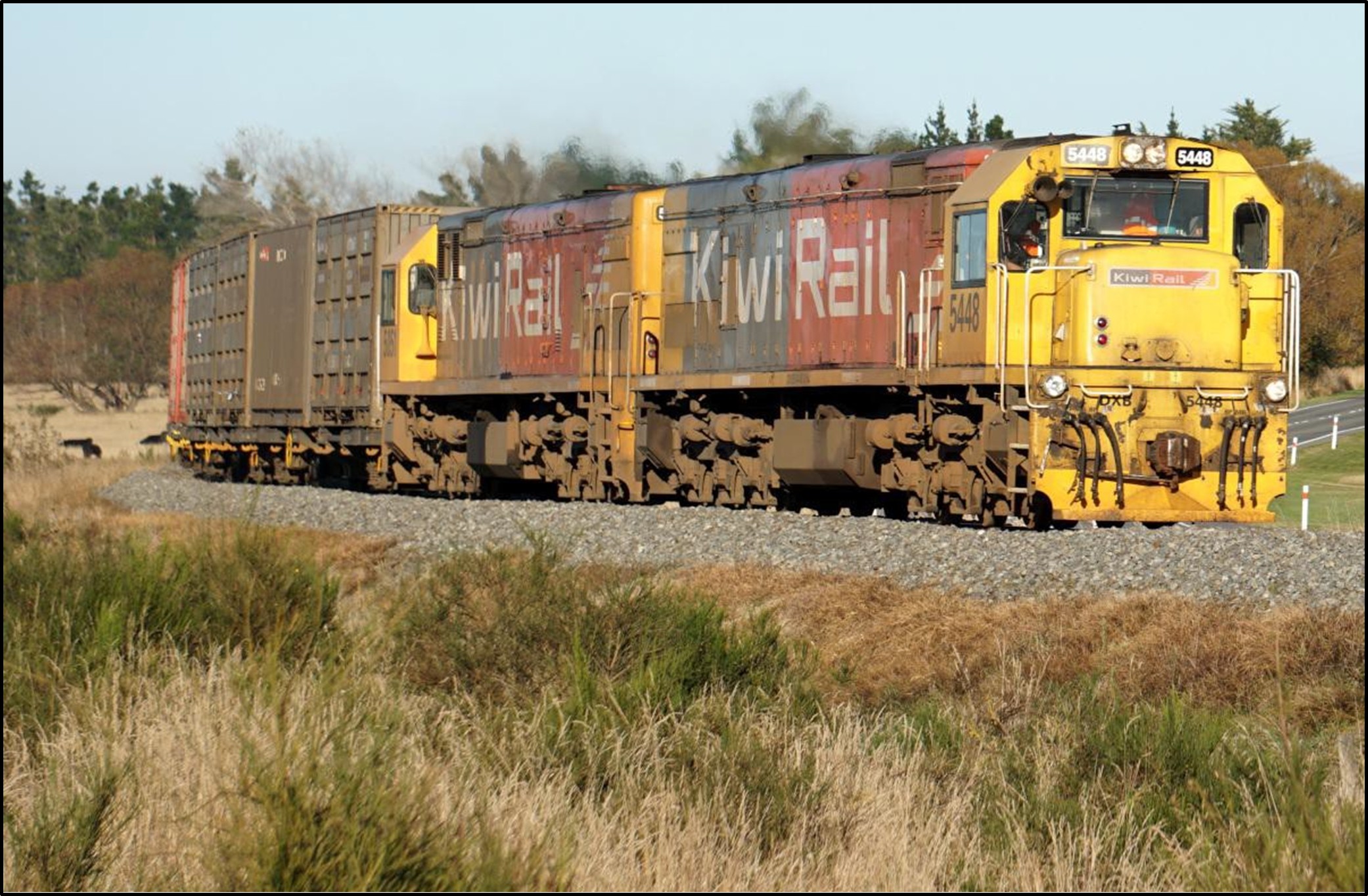 Two DX class locomotives on a train in the South Island (not the incident train)