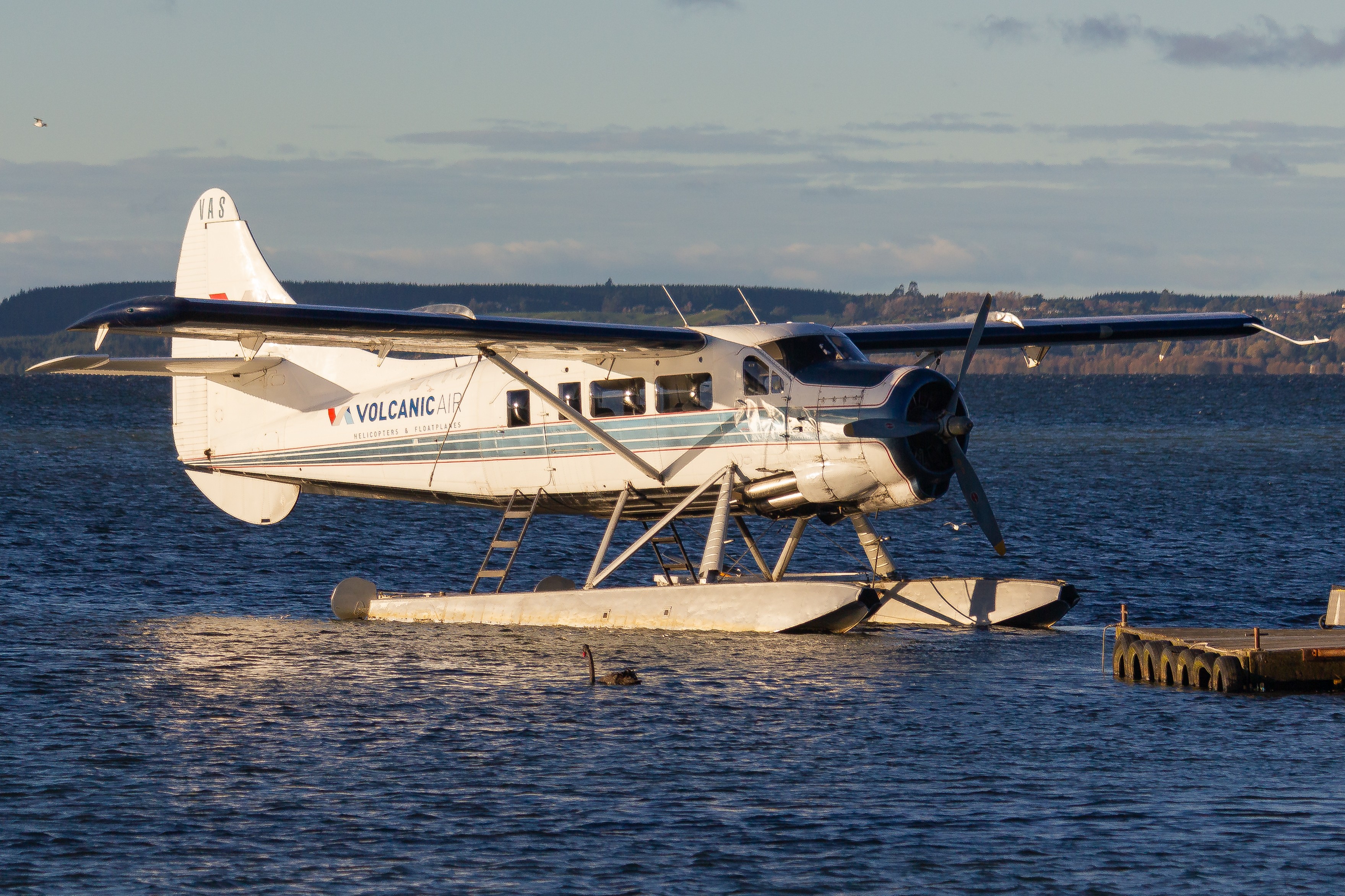 De Havilland DC-3 ZK-VAS floatplane on Lake Rotorua