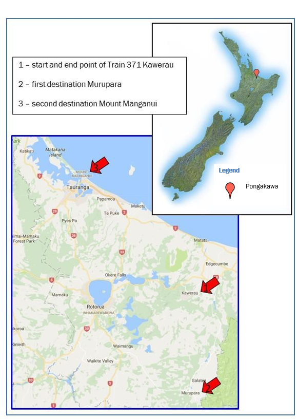 Location of incident