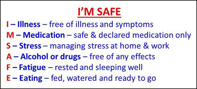 Example fitness-for-work prompt sheet