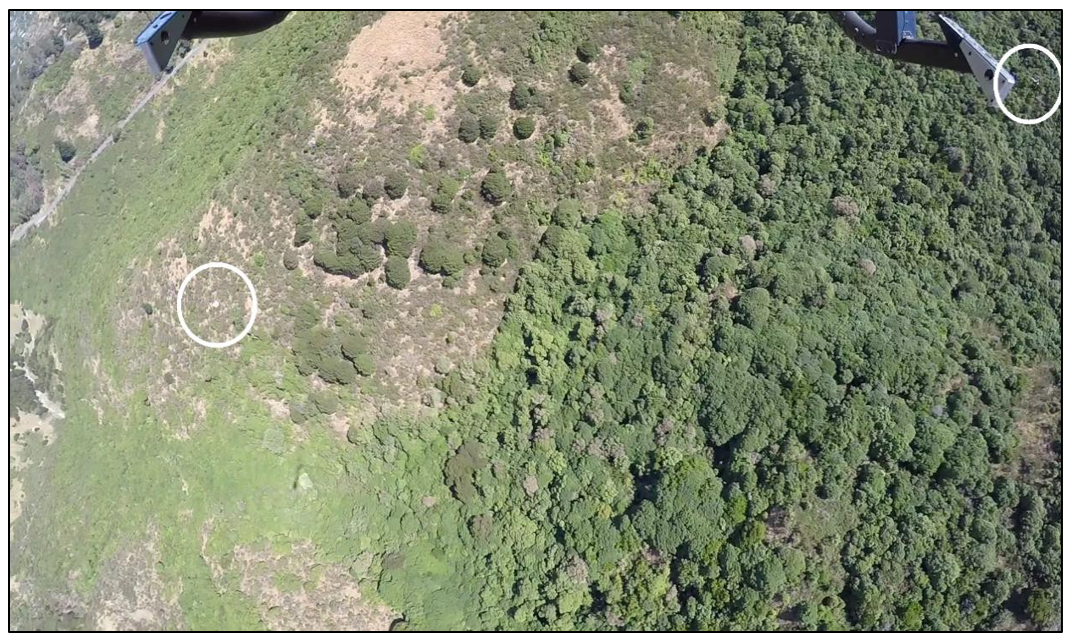 Two objects beneath the helicopter