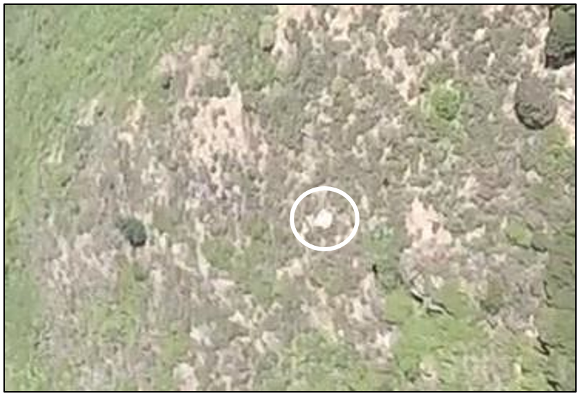 Magnified view from the video recording of the leftmost airborne object