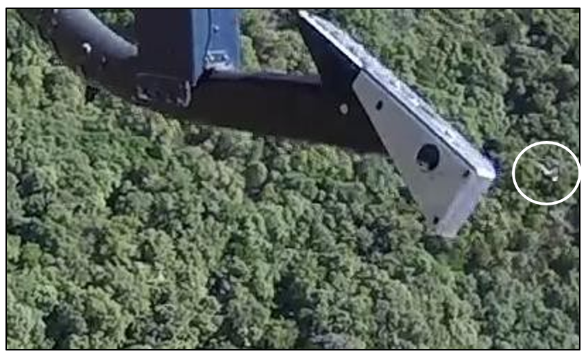 Further magnification of the right most object