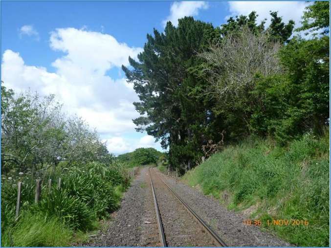 Overhanging vegetation near the 1 km mark