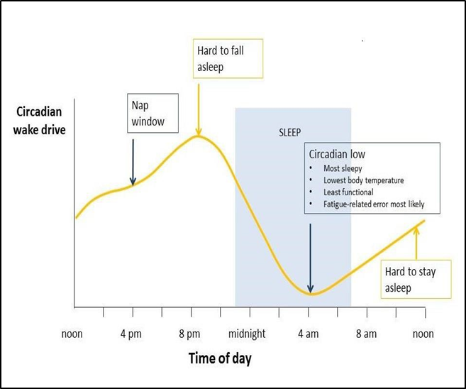The&nbsp;influence&nbsp;of&nbsp;circadian&nbsp;body&nbsp;clock&nbsp;on&nbsp;sleep&nbsp;and&nbsp;alertness&nbsp;where&nbsp;an&nbsp;individual typically sleeps between 2300 and 0700