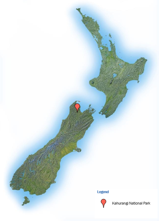 Location of accident