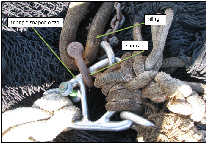 Figure 3. Photograph of an ortza on board the Captain M. J. Souza