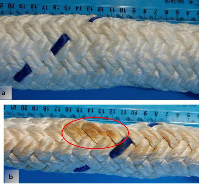 Reported new rope sample. Red ellipse indicates possible heat damage. (a) and (b) taken at same magnification showing the variation in diameter of the rope due to crushing