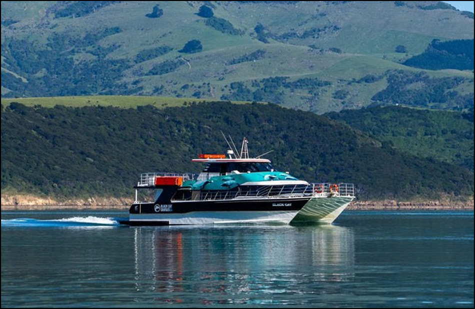 Black Cat (Credit: Black Cat Cruises)