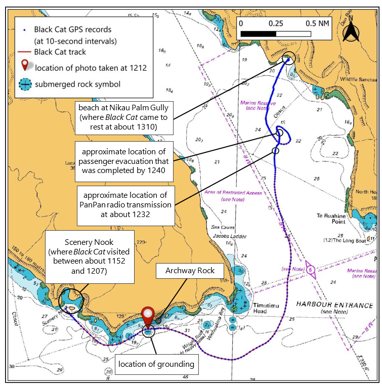 Figure 5: Black Cat’s track from Scenery Nook to the beach at Nikau Palm Gully