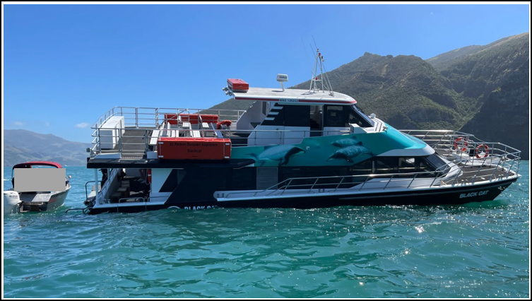 Figure 9: The Black Cat shortly after the passengers were evacuated