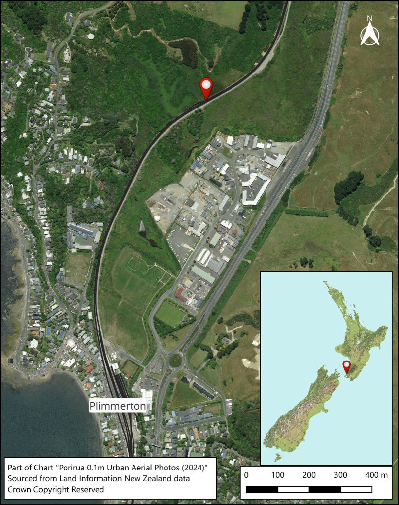 Figure 2: Location of incident (Credit: Land Information New Zealand Toitū Te Whenua)