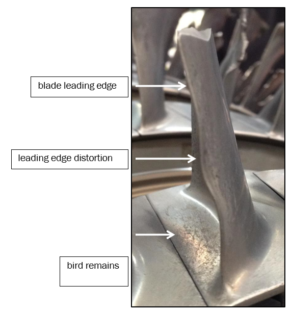 Fractured third-stage blade showing soft body impact damage to the leading edge