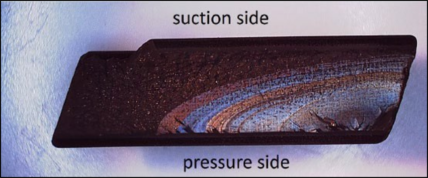 Figure 11: Macroscope-acquired image (Credit: TSB)