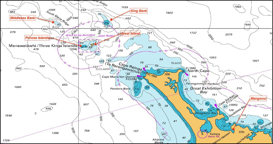 Annotated part of Chart NZ 23