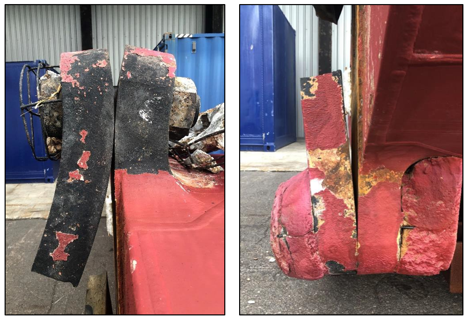 Left: port side of rudder palm; right: starboard side of rudder palm