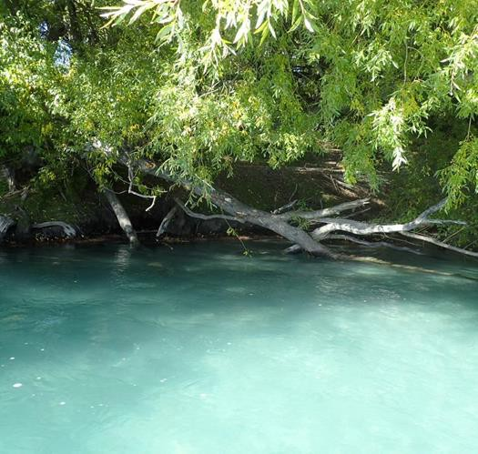 Point of impact with trees lining the riverbank