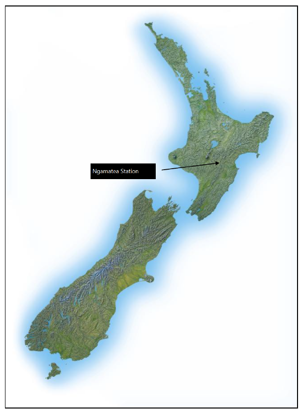 Location of accident