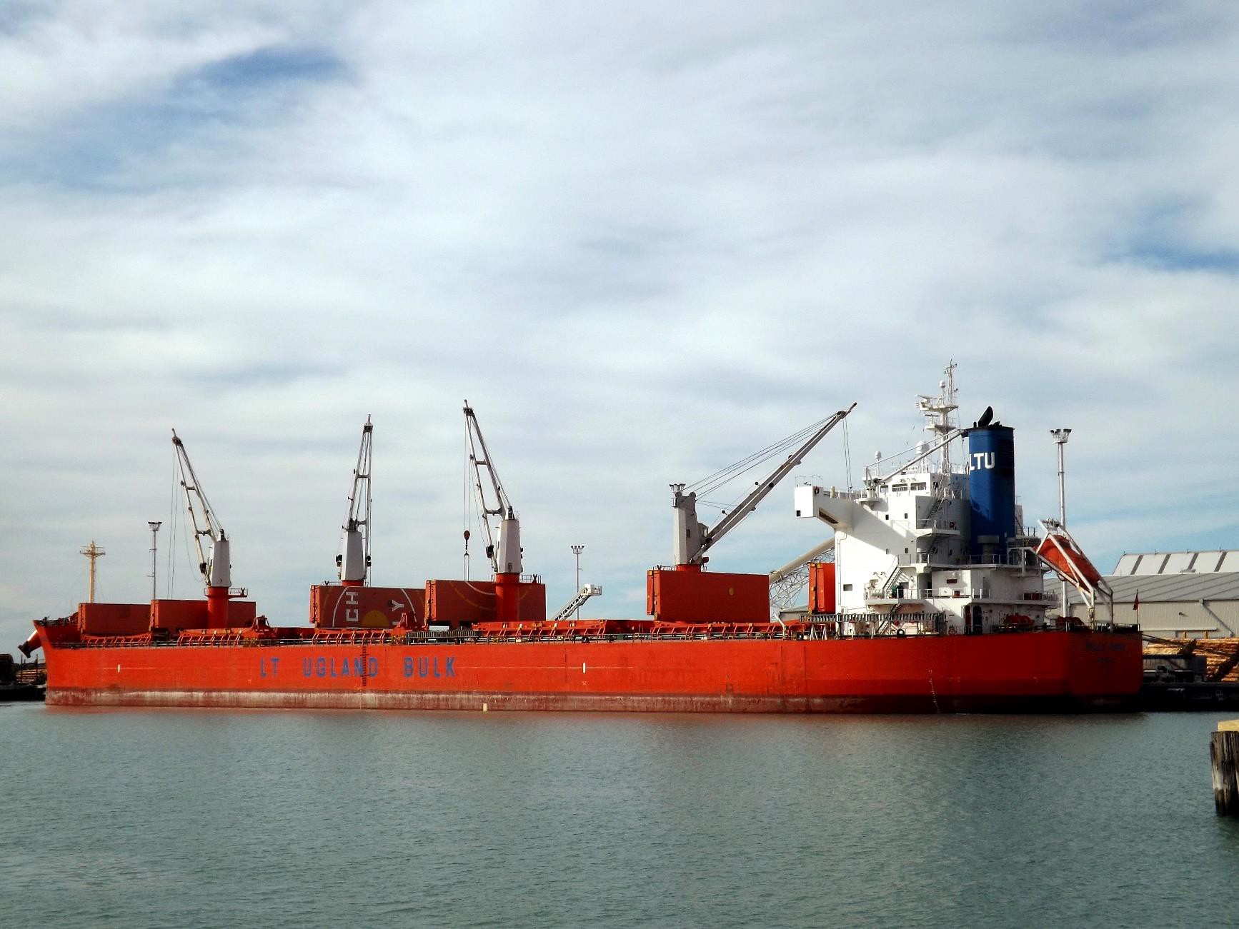 Molly Manx in Napier Port