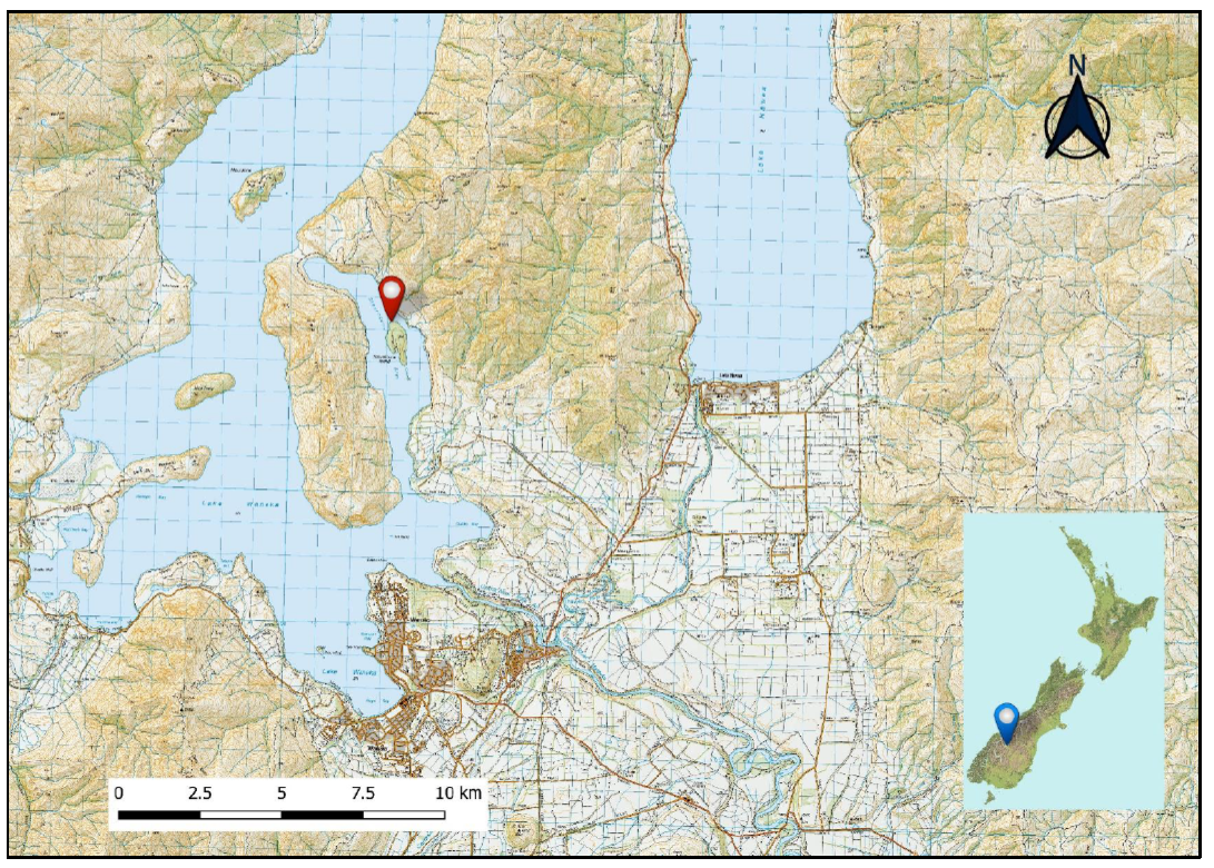 Location of accident: Stevensons Arm, Lake Wanaka