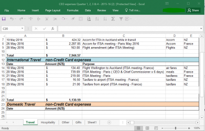 Example image of the expenses spreadsheet