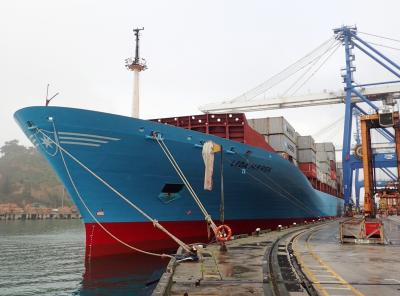 The Leda Maersk at dock in Port Chalmers