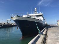 The San Granit at PrimePort Timaru